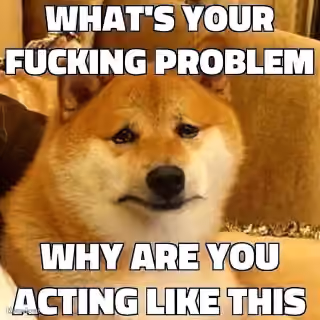 Dog What's Your Fucking Problem