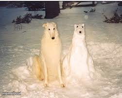 Dog with snow dog - meme generator image preview