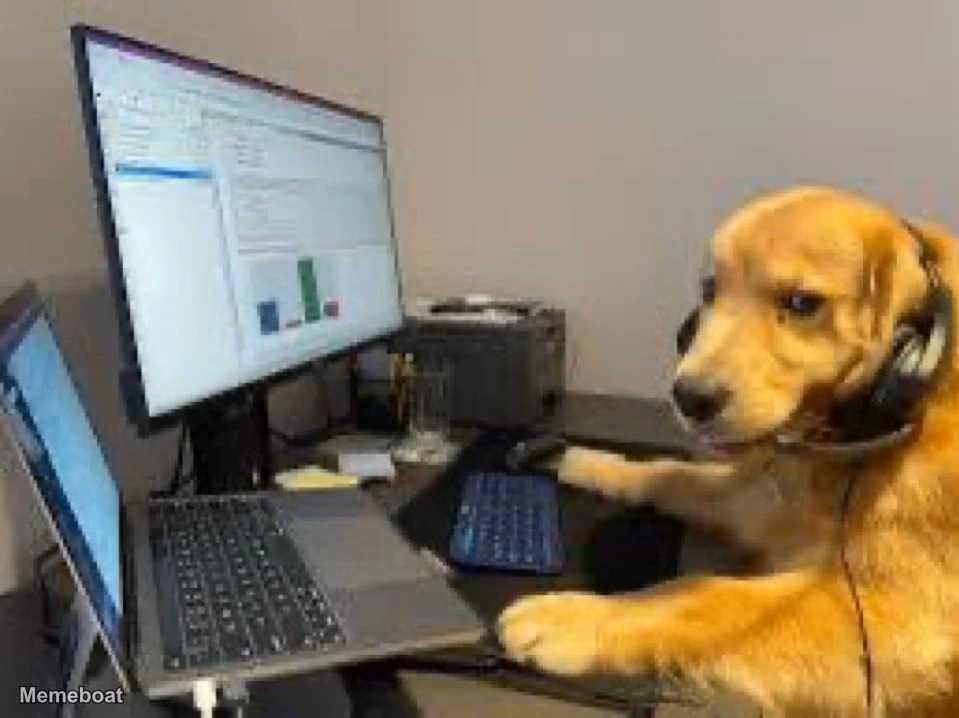 Dog Working at Computer - meme generator image preview