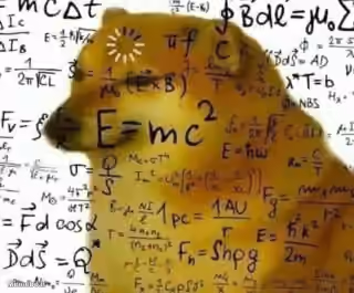 Doge Calculating