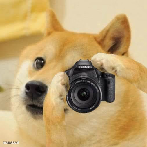 Doge camera - meme generator image preview