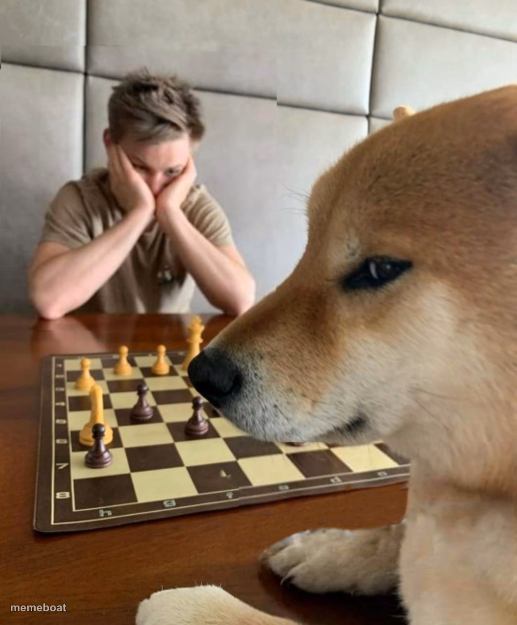 Doge playing chess - meme generator image preview