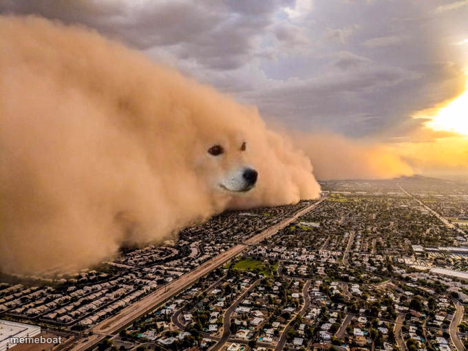 Doge Sandstorm - meme generator image preview