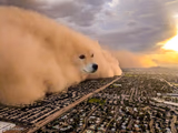 Doge Sandstorm