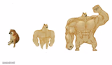 Doge stronger