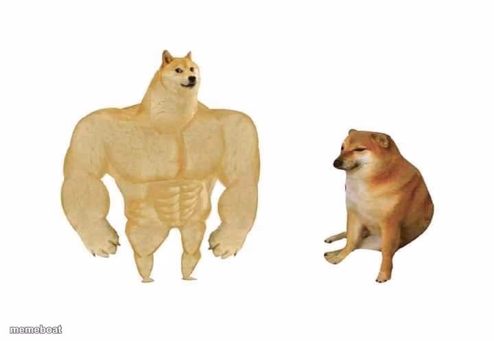 doge then and now - meme generator image preview
