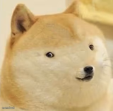 Doge tiny face