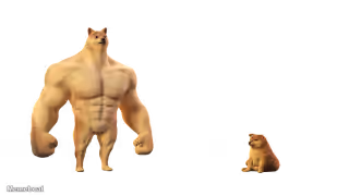 Doge vs. Cheems