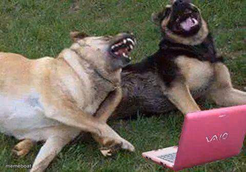 Dogs laughting - meme generator image preview