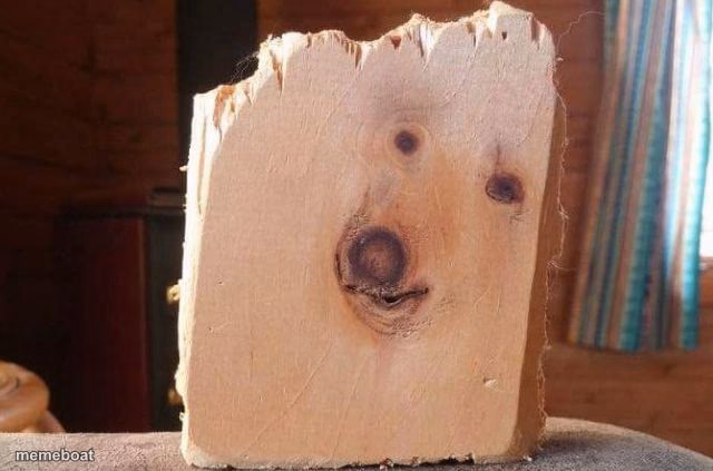 dogwood - meme generator image preview