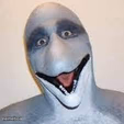 Dolphin man