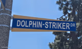 Dolphin-Striker