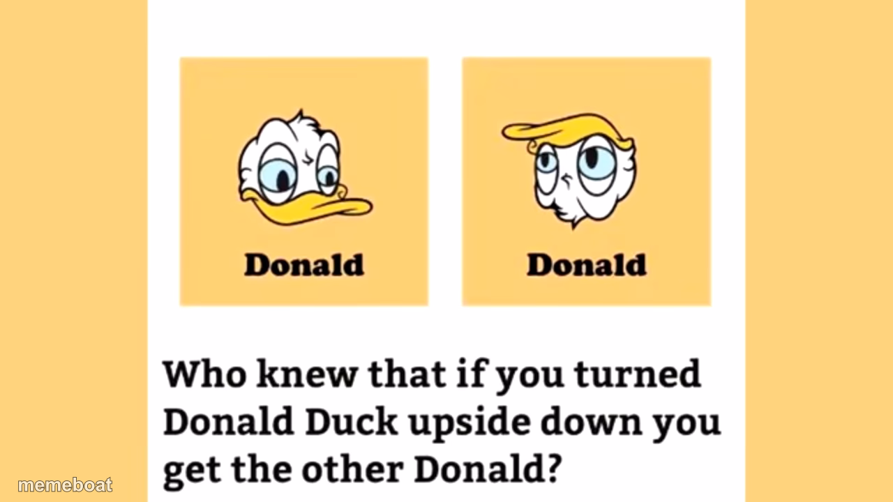 donald duck, donald trump - meme generator image preview