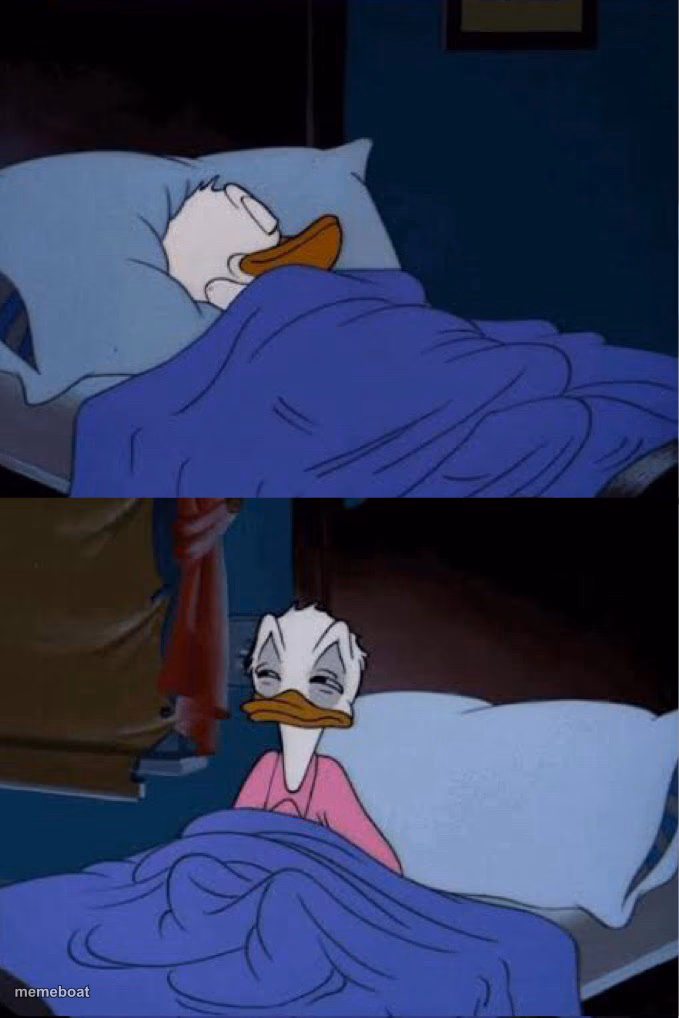 donald duck waking up - meme generator image preview