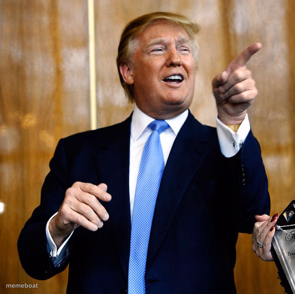 Donald Trump - meme generator image preview