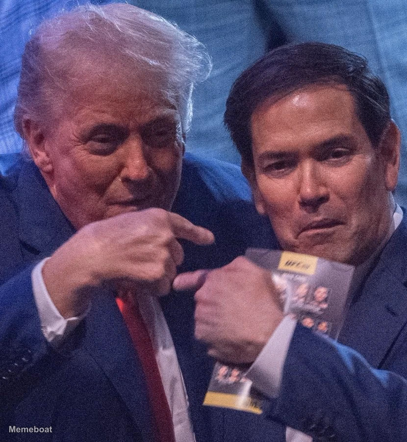 Donald Trump and Marco Rubio Pointing at Each Other - meme generator image preview