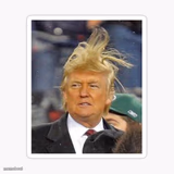 Donald Trump Hair