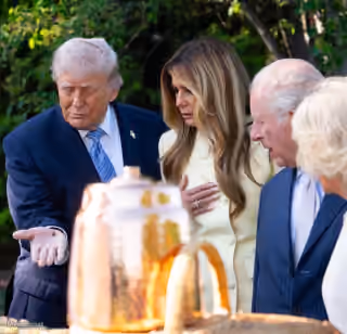 Donald Trump Showing a Bee