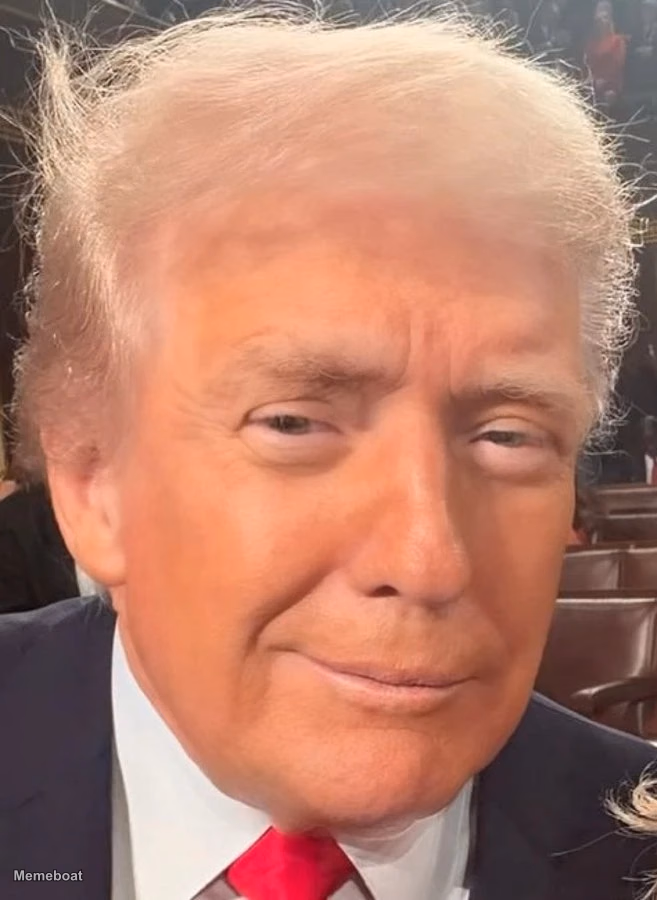 Donald Trump Smirk - meme generator image preview