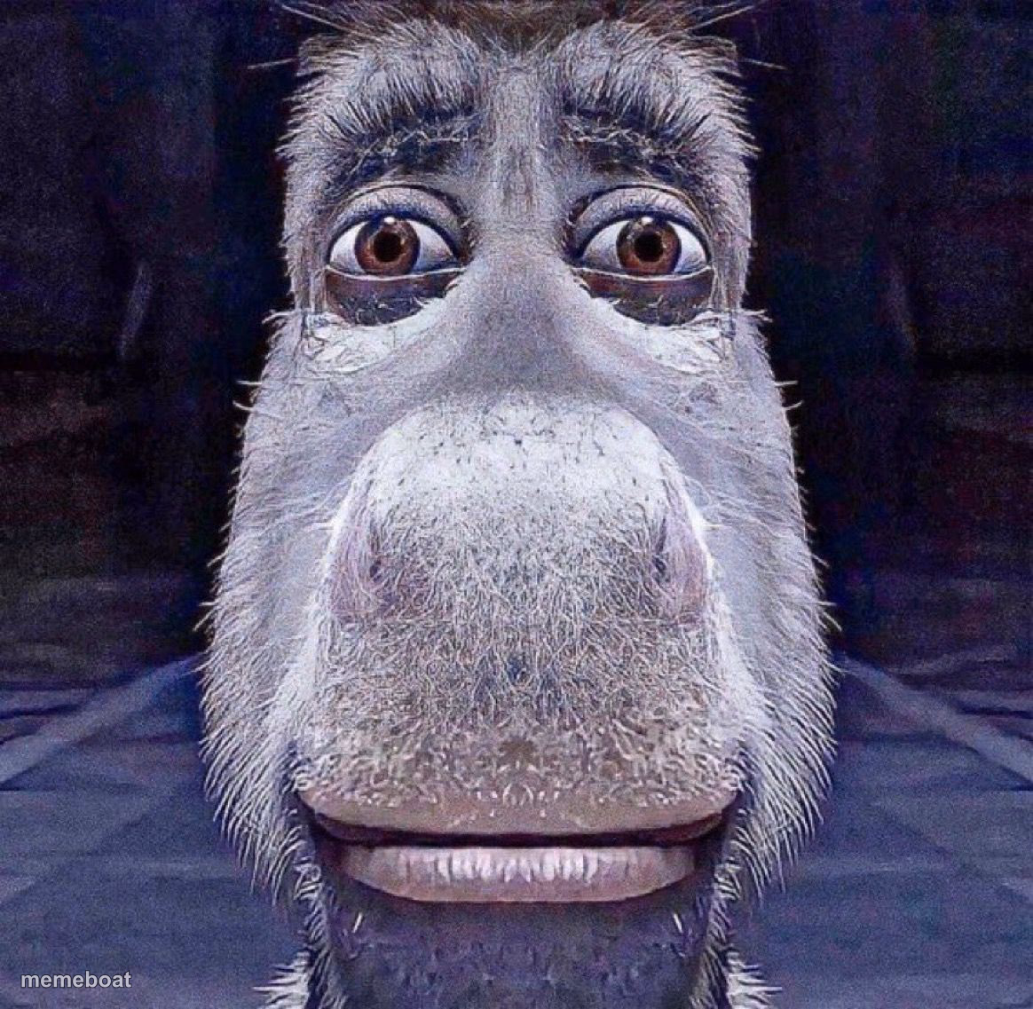 Donkey - meme generator image preview