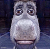 Donkey