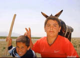 Donkey photobombs kid
