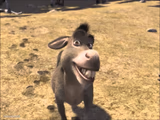 Donkey Shrek