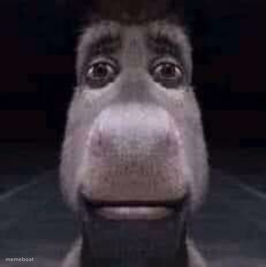Donkey staring - meme generator image preview