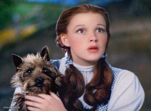 dorothy - meme generator image preview