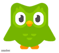 Doulingo