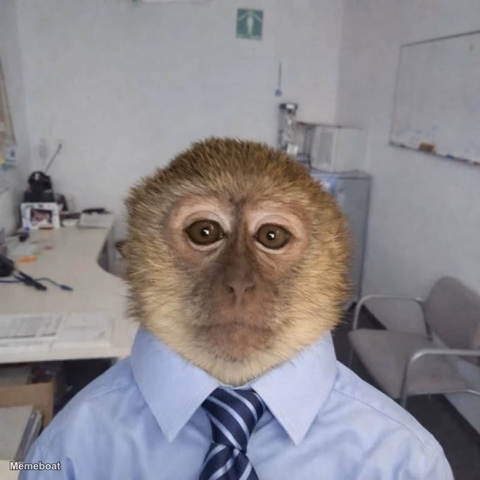 Dressed Up Monkey - meme generator image preview