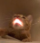 Drinking water after eating mint
