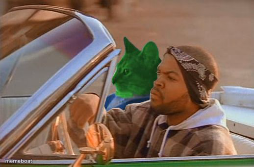 Driving RayCat - meme generator image preview