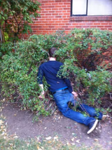 Drunk and passed out