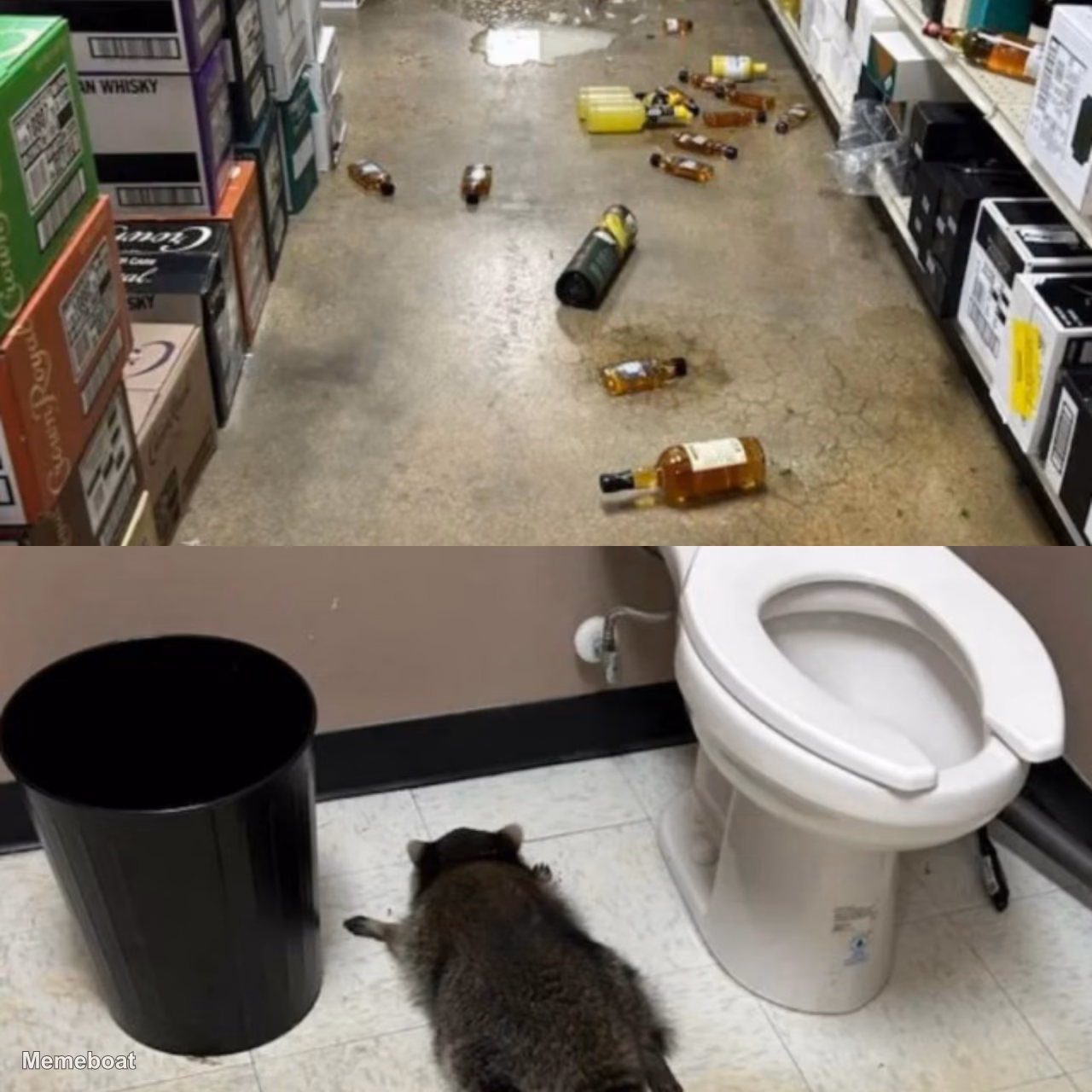 Raccoon Trash Panda Mess - meme generator image preview