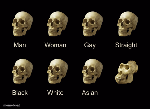 Dumb Skull Meme - meme generator image preview