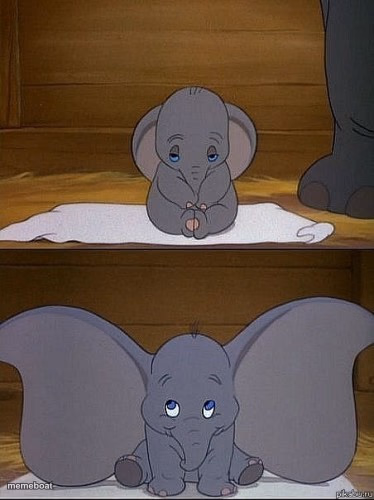 Dumbo - meme generator image preview