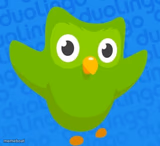 duolingo bird