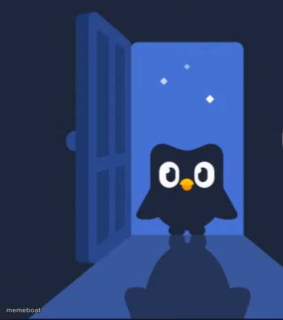 Duolingo bird - meme generator image preview