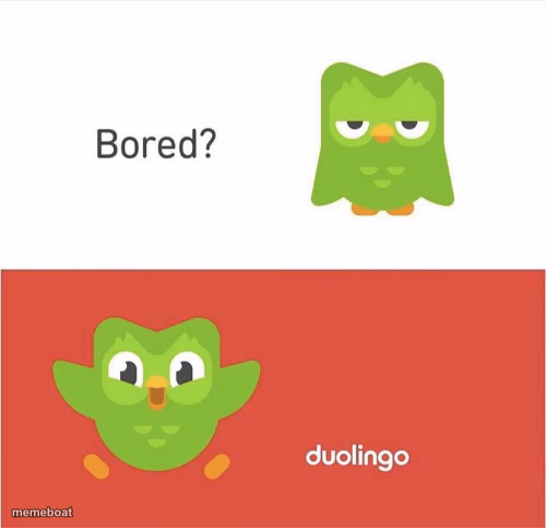 DUOLINGO BORED - meme generator image preview