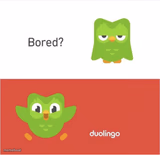 DUOLINGO BORED