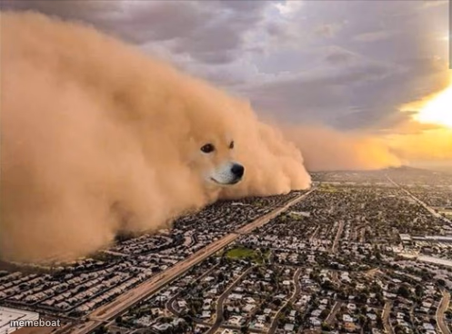 Dust Doge Storm - meme generator image preview