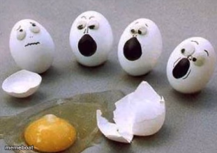 Egg murder witnesses - meme generator image preview