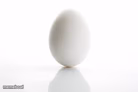 Eggster