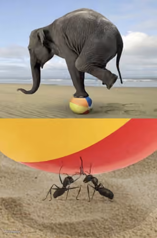 Elephant Balancing on Ball Held up by Ants