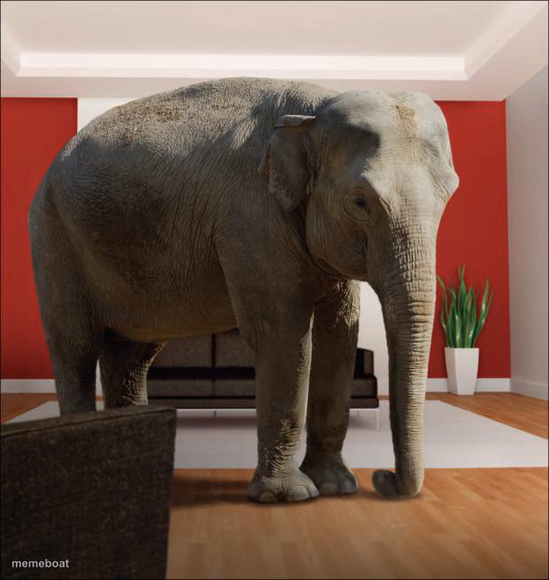 Elephant In The Room - meme generator image preview