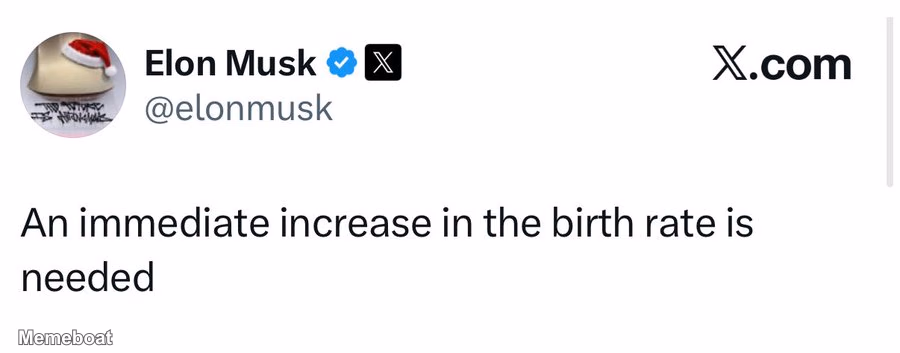 Elon Musk "an Immediate Increase in the Birth Rate Is Needed" - meme generator image preview