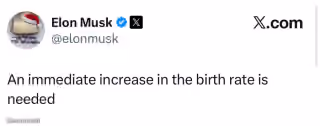 Elon Musk "an Immediate Increase in the Birth Rate Is Needed"