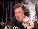Elon Musk Weed