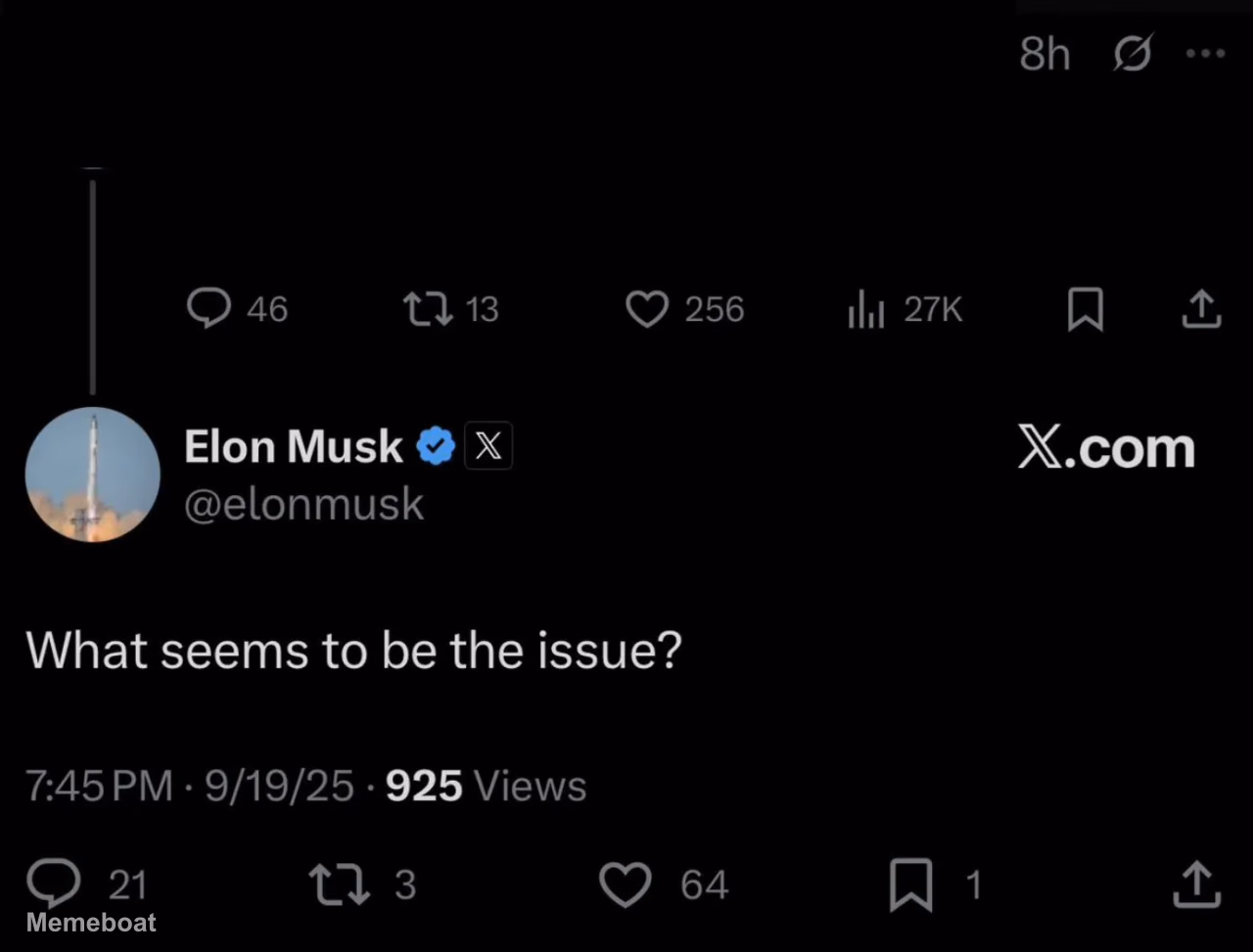 Elon Musk "What Seems to Be the Issue?" - meme generator image preview